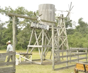 Welcome to the new THSS Website!