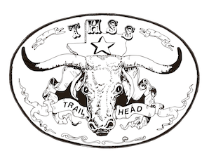 THSS 2015 Shareholders Meeting