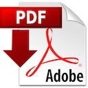 PDF File