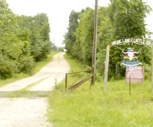 Sponsors and Events at Trailhead 2016