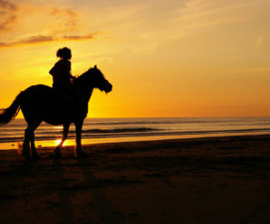 Rest In Peace, Linda Laredo