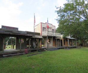 THSS September 2025 Results